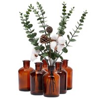 6 Pack Amber Glass Bottle, Apothecary Flower Bud Vases for Vintage, Decorative Home Decor, Brown, 4.8 in.