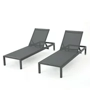 2-Piece Gray Mesh and Aluminum Outdoor Furniture Patio Lounger Set