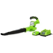 Greenworks 24V 90/130 MPH Dual Speed Cordless Blower, 2.0 AH Battery Included 24352