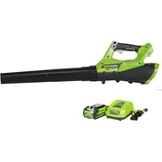 Greenworks 40V 390 CFM 110 MPH Cordless Leaf Blower with 2.5 Ah Battery and Charger, 2400802