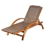 Chaise Lounge Chair Indoor Outdoor Patio Recliner Pool Deck Leisure Lounger