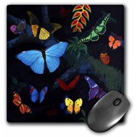 3dRose RAINFOREST BUTTERFLIES, Mouse Pad, 8 by 8 inches