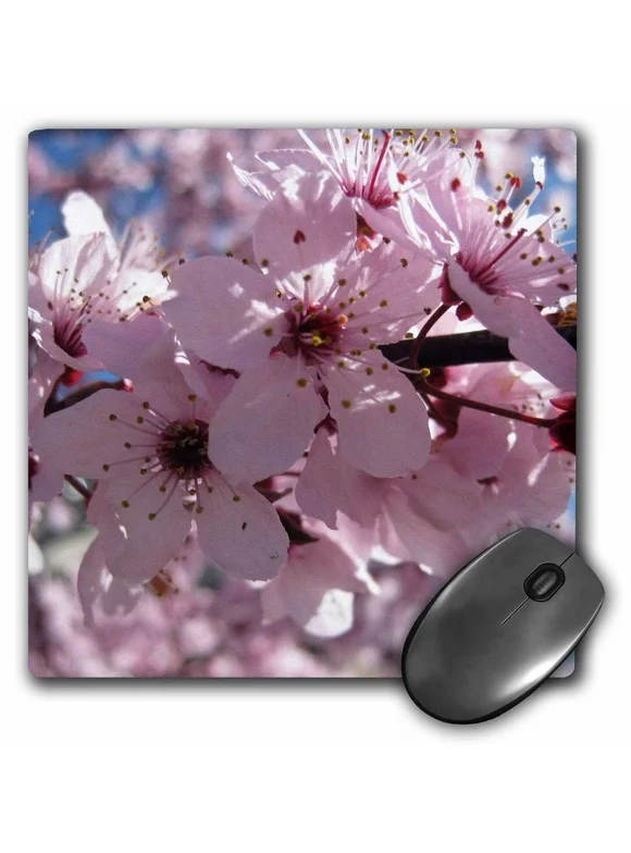3dRose Pink Flowering Tree Flowers Macro Photography Floral - Mouse Pad, 8 by 8-inch (mp_29499_1)