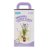 Back to the Roots Windowsill Lavender Planter, Lavender Grow Kit