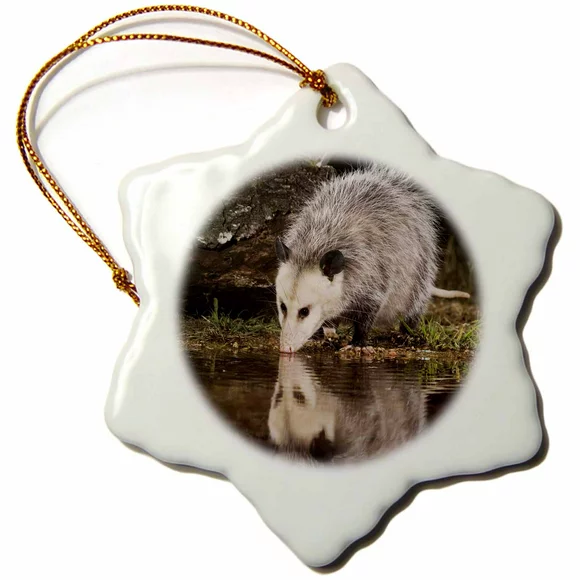3dRose Virginia Opossum wildlife, Hill Country, Texas - NA02 RNU0821 - Rolf Nussbaumer - Snowflake Ornament, 3-inch