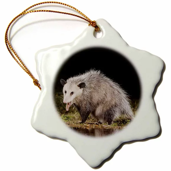 3dRose Virginia Opossum wildlife, Hill Country, Texas - NA02 RNU0819 - Rolf Nussbaumer - Snowflake Ornament, 3-inch