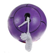 Perrini Tetherball with 11 Foot Rope Official Size #5 (Purple)