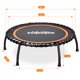image 3 of Zupapa 40-Inch rebounder for Adults and Kids, Mini Silent Fitness Trampoline for Indoor Outdoor Garden Workout Cardio Training, Max Load 330 lbs