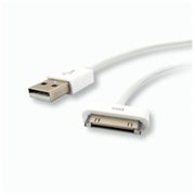 30-Pin Dock Connector-to-USB A Male Adapter Cable for iPad-iPhone 4S