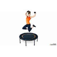 The Leaps & ReBounds Fitness Trampoline - Bungee Rebounder