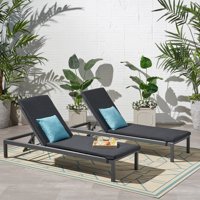 Bridget Outdoor Fabric Lounge Cushion, Set of 2, Dark Gray