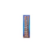 10 Row Dowel Tower CD Rack (Honey Oak)