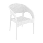 Compamia Panama Resin Faux-Wicker Patio Dining Arm Chair - Set of 2