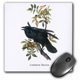 image 0 of 3dRose Common Raven by John James Audubon, Mouse Pad, 8 by 8 inches
