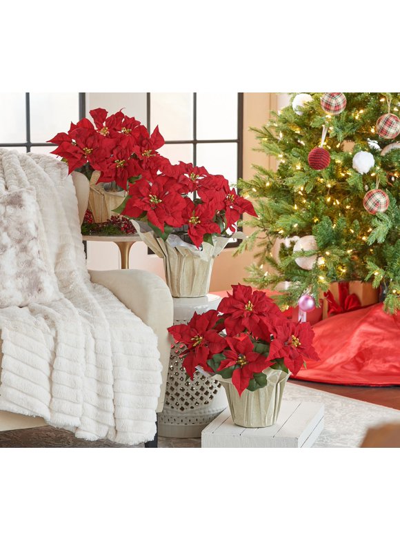 Set of 3 17.5" Poinsettia Plants by Valerie in Red