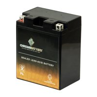 Chrome Battery YTX14AH-BS (14AH-BS 12 Volt,12 Ah, 210 CCA) Atv Battery for Polaris 400cc 2004