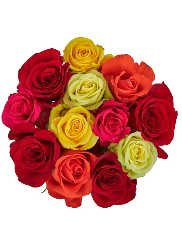 Fresh-Cut Dozen Roses, 12 Stems Assorted Rainbow Colors, Colors Vary