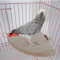 Pet Bird Parrot Wood Platform Stand Rack Toy Hamster Branch Perches For Bird Cage Toys 3 Sizes Pet Supplies