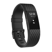Fitbit Charge 2 Special Edition - Large