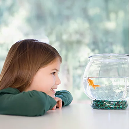 Discover the Joy of Pet Fish for Kids